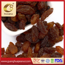 Healthy Snacks Dried Sultana Raisins From Xinjiang
